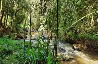 Terreno à venda no São Jacó, Nova Petrópolis 