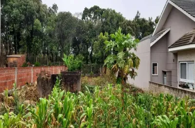 Terreno à venda na pousada da neve, nova petrópolis  por r$ 320.000