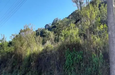 Terreno à venda no pinhal alto, nova petrópolis  por r$ 80.000