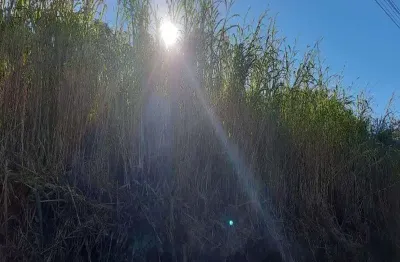 Terreno à venda no pinhal alto, nova petrópolis  por r$ 85.000