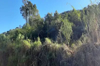 Terreno à venda na rua edwino alberto wedig, pinhal alto, nova petrópolis por r$ 85.000