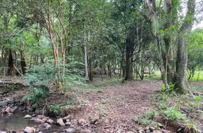 Chácara / sítio com 4 quartos à venda na rua arnaldo rudolfo graebin, 2020, linha temerária, nova petrópolis por r$ 400.000