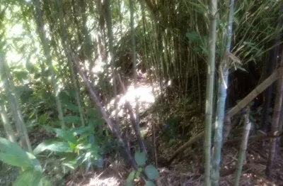 Terreno à venda na estrada ahmann, fazenda pirajá, nova petrópolis por r$ 360.000