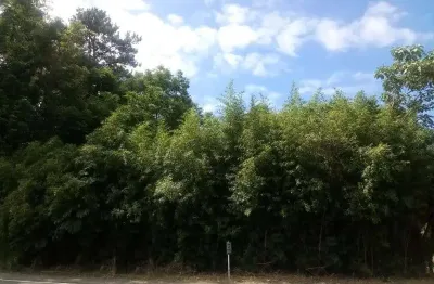 Terreno comercial à venda na avenida 15 de novembro, 4537, vale verde, nova petrópolis por r$ 480.000