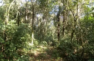 Terreno à venda na Zona Rural, Linha Nova 
