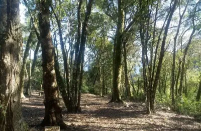 Terreno à venda na rua alpenstrasse, pousada da neve, nova petrópolis por r$ 485.000