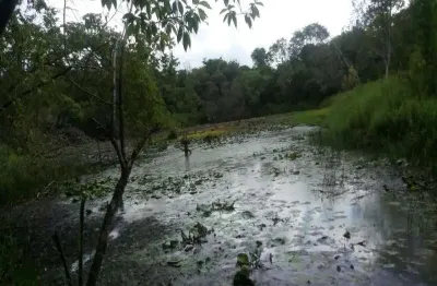 Terreno à venda no arroio paixão, nova petrópolis  por r$ 850.000