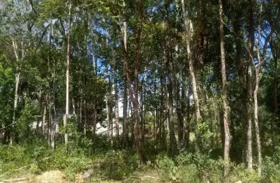 Terreno à venda na rua veranópolis, pousada da neve, nova petrópolis por r$ 220.000