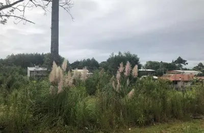 Terreno à venda na rua délio tonezer, s15, vila germania, nova petrópolis por r$ 220.000