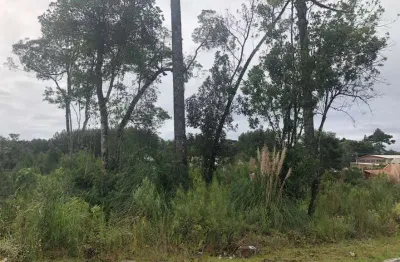 Terreno à venda na vila germania, nova petrópolis  por r$ 220.000