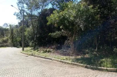 Terreno à venda na rua das calêndulas, juriti, nova petrópolis por r$ 320.000