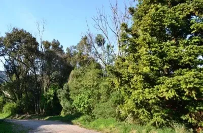 Terreno à venda na pousada da neve, nova petrópolis  por r$ 275.000