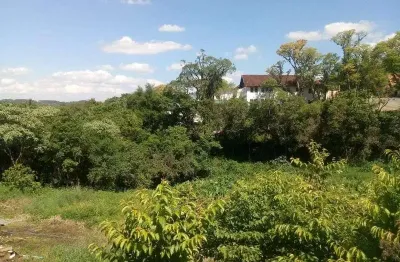 Terreno à venda na vila olinda, nova petrópolis  por r$ 780.000