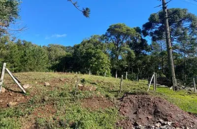 Terreno à venda na avenida germânia, 1167, vila germania, nova petrópolis por r$ 250.000