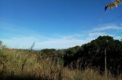 Terreno à venda na morro da fome, linha imperial, nova petrópolis por r$ 600.000