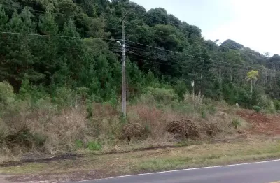 Terreno comercial à venda na rs 235, linha imperial, nova petrópolis por r$ 150.000