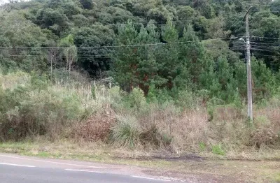 Terreno comercial à venda na rs 235, linha imperial, nova petrópolis por r$ 150.000