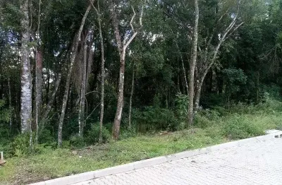 Terreno à venda na rua c, linha imperial, nova petrópolis por r$ 155.000