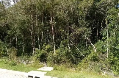 Terreno à venda no linha imperial, nova petrópolis  por r$ 155.000