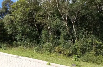 Terreno à venda no linha imperial, nova petrópolis  por r$ 155.000