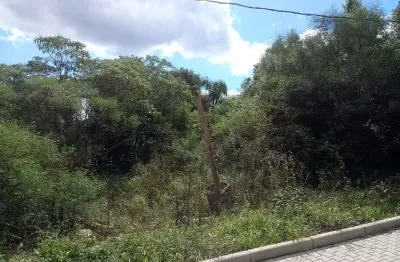 Terreno à venda na rua b, linha imperial, nova petrópolis por r$ 155.000