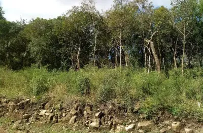 Terreno à venda na rua otto grings, linha imperial, nova petrópolis por r$ 165.000