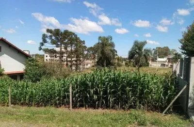 Terreno à venda na pousada da neve, nova petrópolis  por r$ 350.000