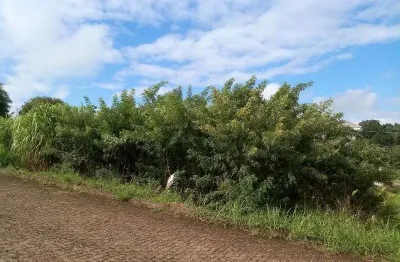 Terreno à venda na pousada da neve, nova petrópolis  por r$ 370.000
