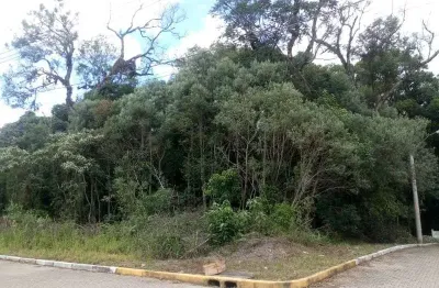 Terreno à venda em Juriti, Nova Petrópolis 