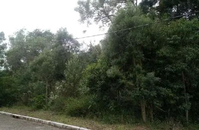 Terreno à venda em Juriti, Nova Petrópolis 