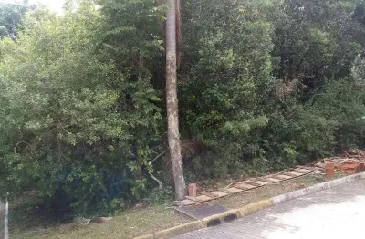 Terreno à venda em Juriti, Nova Petrópolis 