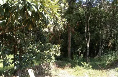 Terreno à venda na rua emílio dinnebier filho, 170, linha brasil, nova petrópolis por r$ 300.000