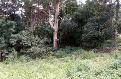 Terreno à venda no linha brasil, nova petrópolis  por r$ 330.000