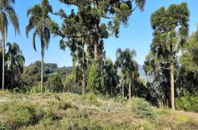 Terreno à venda no pinhal alto, nova petrópolis  por r$ 105.000