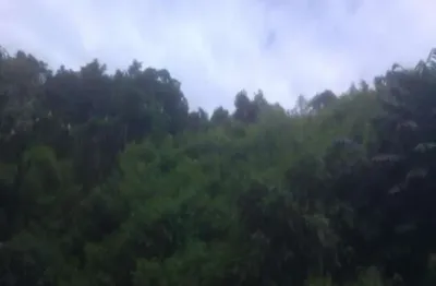 Terreno à venda na vila olinda, nova petrópolis , 1400 m2 por r$ 515.000