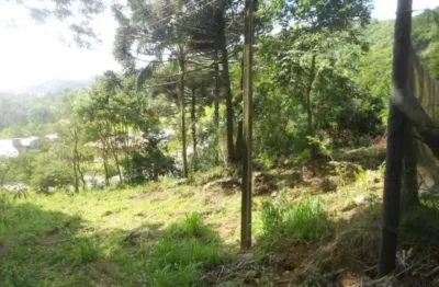 Terreno comercial à venda na rs 235 , km 05, 5436, piá, nova petrópolis por r$ 980.000