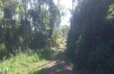 Terreno à venda na linha pirajá alta, nova petrópolis , 3 m2 por r$ 119.000