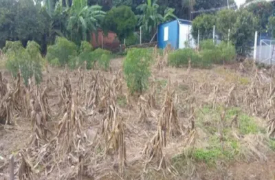 Terreno à venda na rua artur loeser, 45, zona rural, nova petrópolis por r$ 170.000