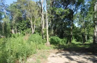 Terreno comercial à venda na av. 15 de novembro, centro, nova petrópolis por r$ 4.800.000