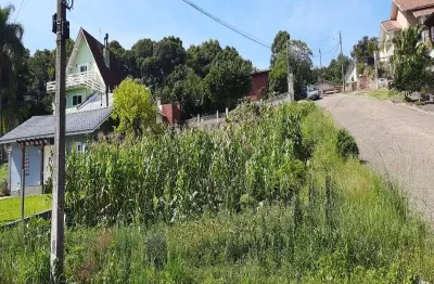 Terreno à venda no logradouro, nova petrópolis  por r$ 300.000