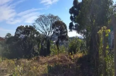 Terreno à venda no vale verde, nova petrópolis  por r$ 140.000