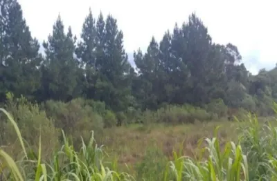 Terreno à venda na rua edwino alberto wedig, pinhal alto, nova petrópolis por r$ 410.000