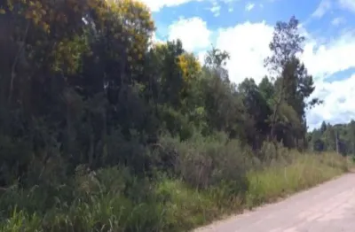 Terreno à venda no linha imperial, nova petrópolis  por r$ 170.000