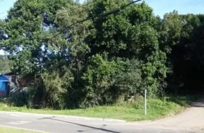 Terreno à venda na avenida 3 de maio, centro, nova petrópolis por r$ 1.960.000