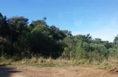 Terreno à venda na rua korbsgerger, 4570, linha imperial, nova petrópolis por r$ 280.000