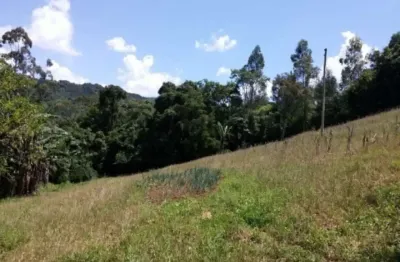 Chácara / sítio com 4 quartos à venda na vila olinda, nova petrópolis  por r$ 580.000