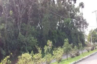 Terreno à venda na av. das araucárias, vale verde, nova petrópolis por r$ 165.000