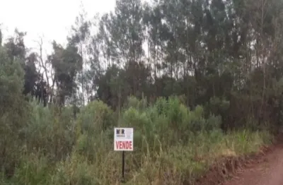 Terreno à venda na fazenda pirajá, nova petrópolis  por r$ 220.000