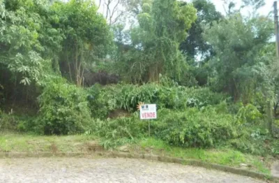 Terreno à venda na rua dos imigrantes, juriti, nova petrópolis por r$ 250.000