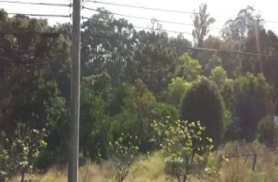 Terreno à venda na rs 235, linha brasil, nova petrópolis por r$ 212.000